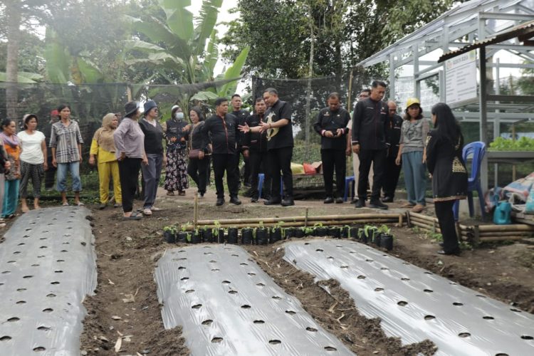 Bupati Pakpak Bharat Tinjau Areal Kebun B2SA Milik PKK Di desa Silima Kuta