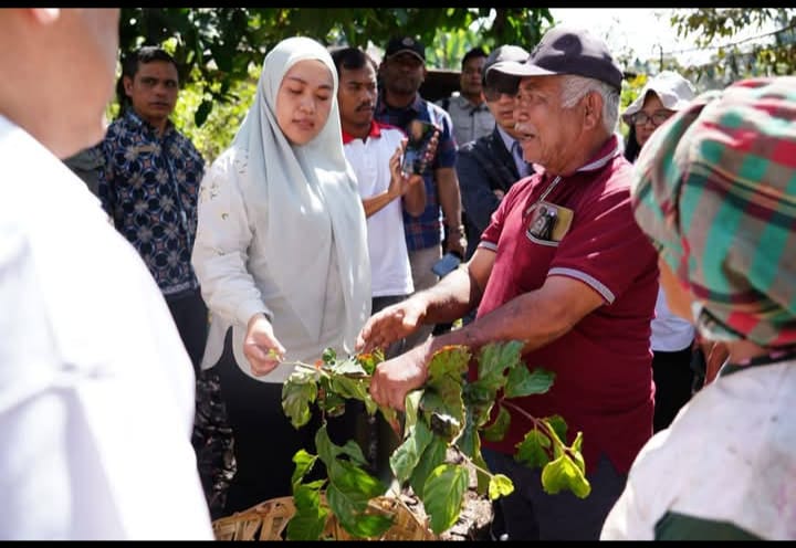 Tim Direktorat Perkebunan dan PTPN 4 bersama Pemkab Pakpak Bharat Melaksanakan Ground Checking Kebun Dan Pabrik Pengolahan Gambir 