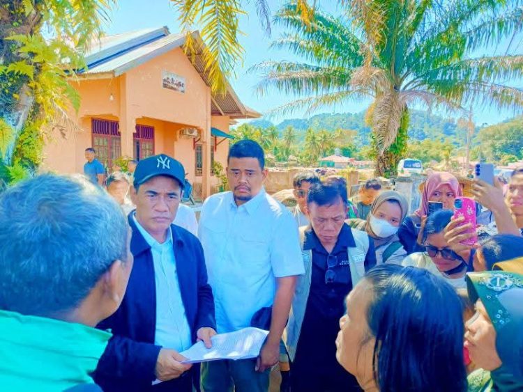 Mentan Sekaligus Kepala Bapanas, Sawah Yang Rusak Akan Diperbaiki Kembali Mentan Sekaligus Kepala Bapanas, Sawah Yang Rusak Akan Diperbaiki Kembali