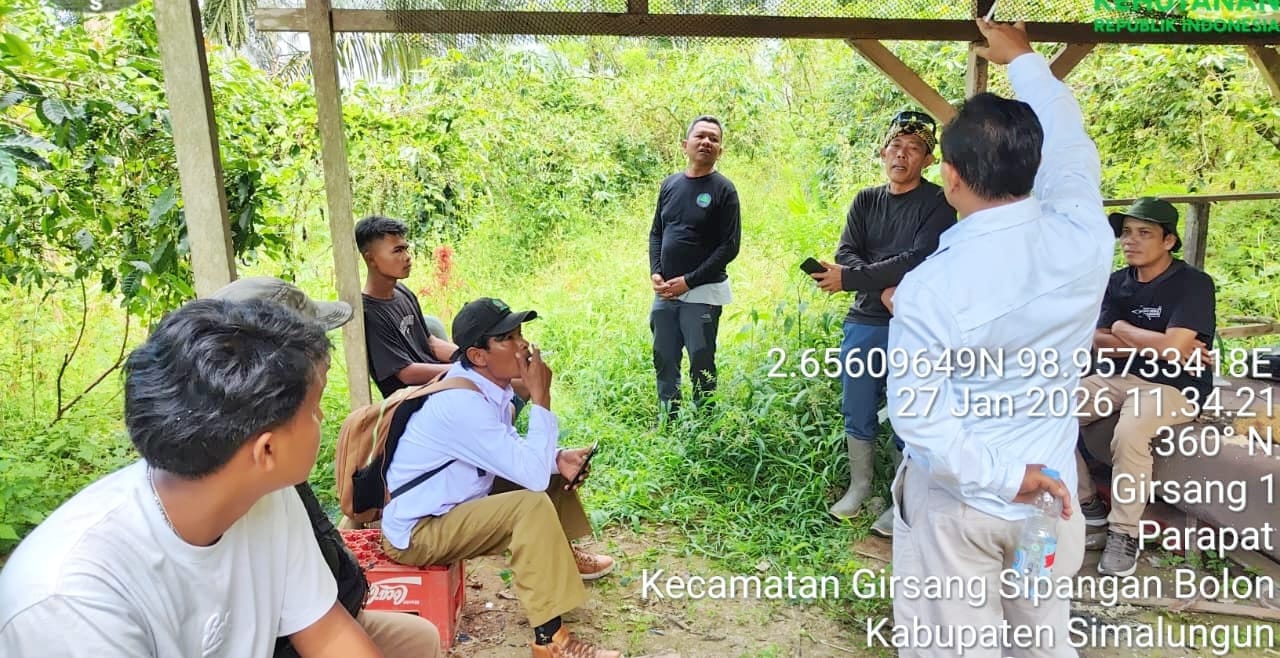 Viral Temuan Bangkai Satwa Liar di Kelurahan Girsang, BKSDA dan Camat Tegaskan Bukan Harimau Sumatra, Melainkan Macan Akar Viral Temuan Bangkai Satwa Liar di Kelurahan Girsang, BKSDA dan Camat Tegaskan Bukan Harimau Sumatra, Melainkan Macan Akar