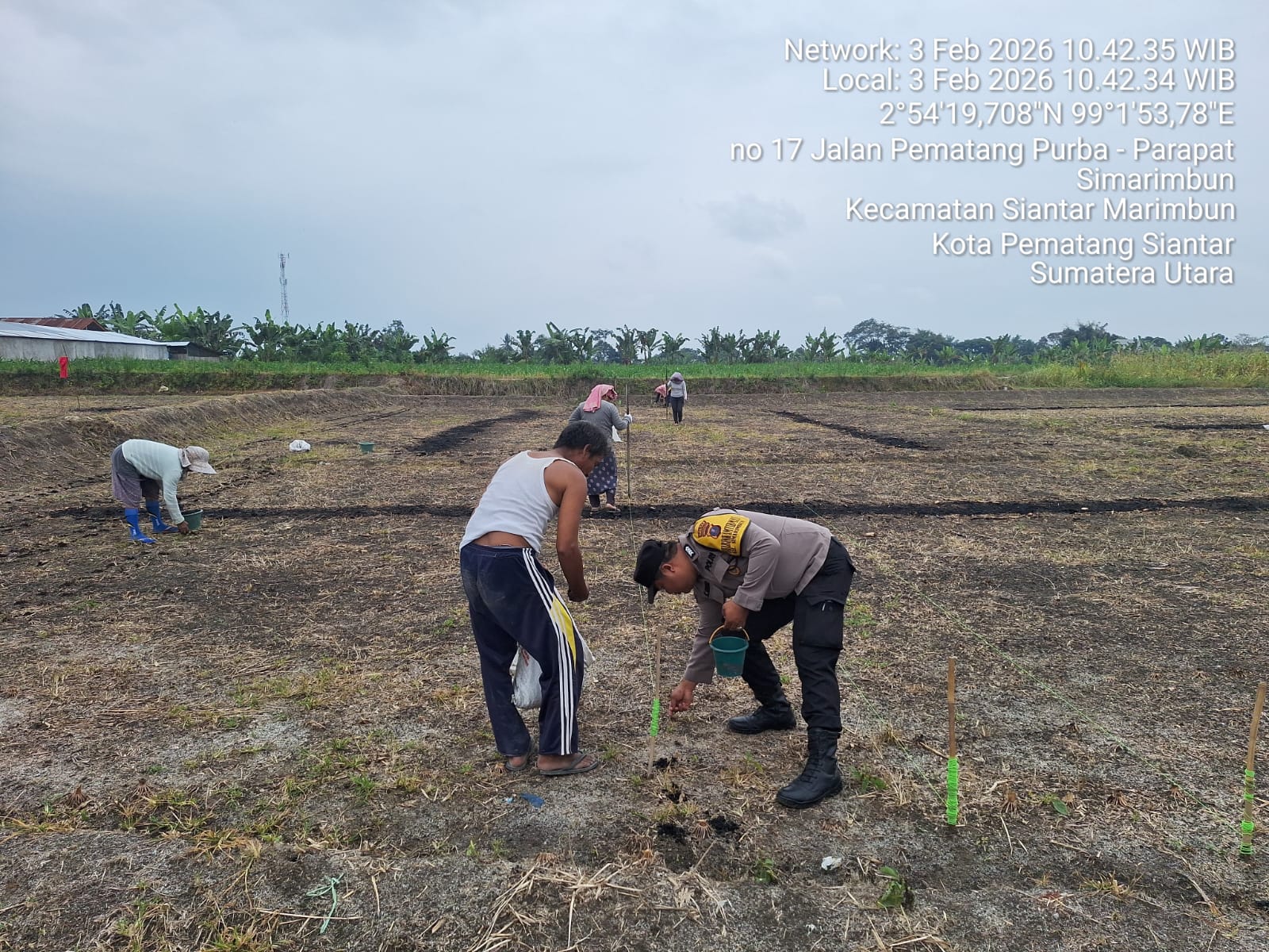 Bhabinkamtibmas Polsek Siantar Marihat Sambangi Warganya Tanam Jagung Bhabinkamtibmas Polsek Siantar Marihat Sambangi Warganya Tanam Jagung