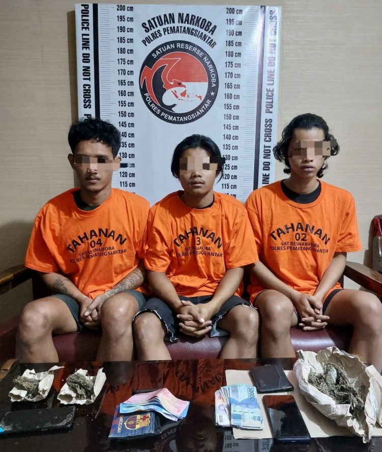 Polres Pematangsiantar Ungkap Pelaku Pemilik Ganja, 3 Warga Asal Simalungun Diringkus Polres Pematangsiantar Ungkap Pelaku Pemilik Ganja, 3 Warga Asal Simalungun Diringkus