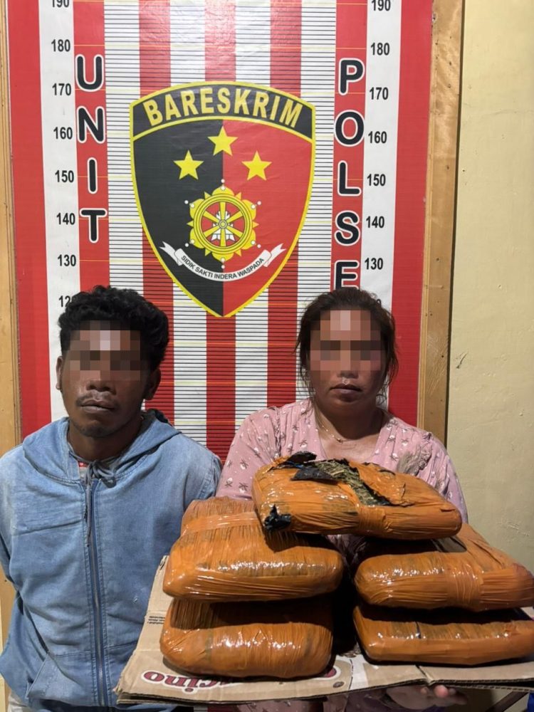 Polsek Barus Gagalkan Peredaran 5 Kg Ganja Asal Madina, Dua Kurir Ditangkap Polsek Barus Gagalkan Peredaran 5 Kg Ganja Asal Madina, Dua Kurir Ditangkap