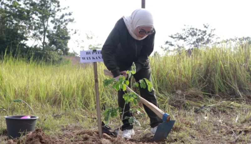 Pemkab Way Kanan Tanam Pohon Serentak