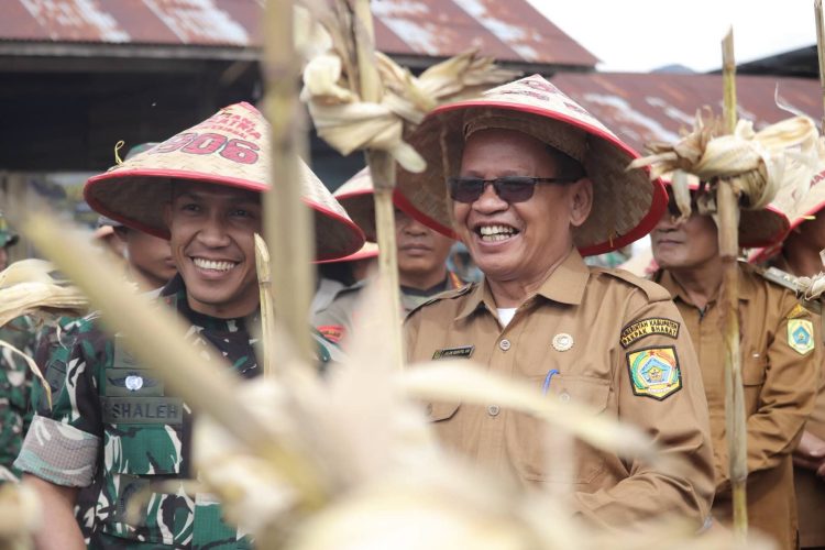Batalyon TP 906/Sanalenggam Panen Perdana Jagung Seluas 6 Ha Di Desa Penanggalen Binanga Boang Batalyon TP 906/Sanalenggam Panen Perdana Jagung Seluas 6 Ha Di Desa Penanggalen Binanga Boang