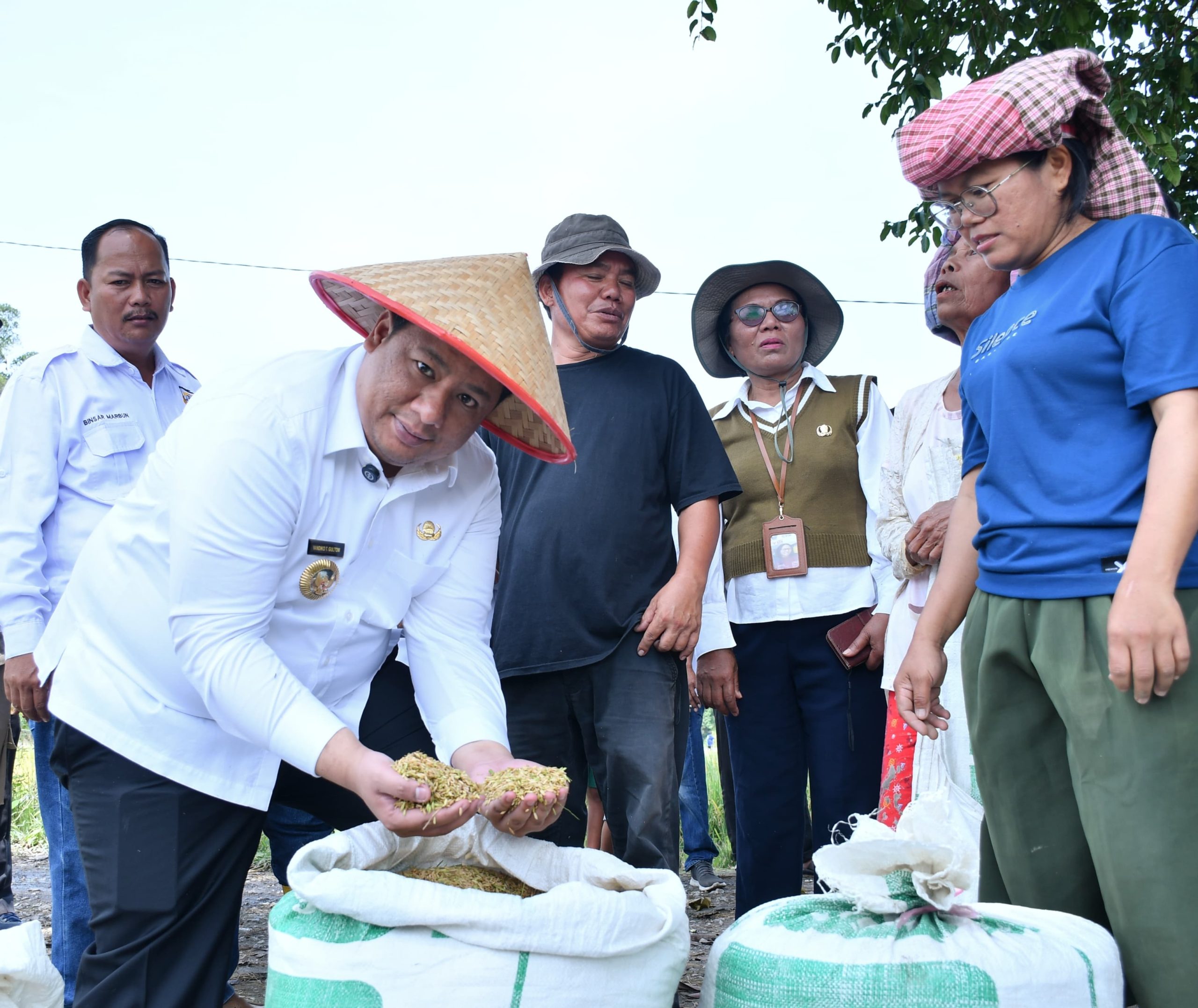 Taksi Alsintan Permudah Petani, Bupati Samosir Vandiko T. Gultom Turun Langsung Panen Padi Bersama Masyarakat Taksi Alsintan Permudah Petani, Bupati Samosir Vandiko T. Gultom Turun Langsung Panen Padi Bersama Masyarakat