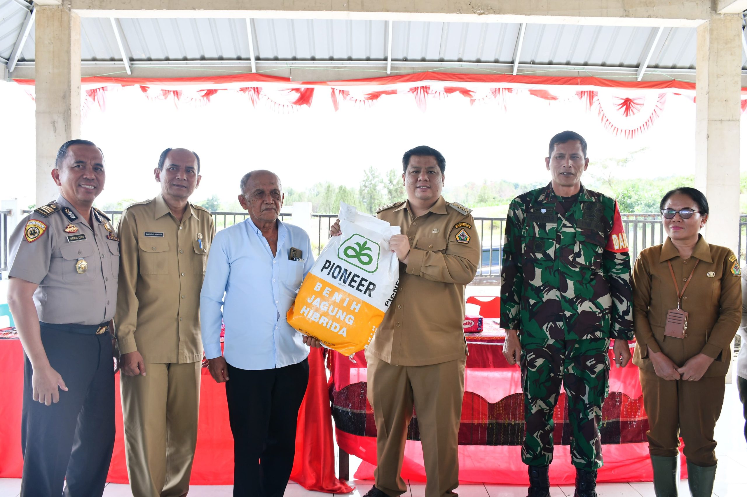 Gubsu Bantu Bibit Jagung 40 Hektare, Bupati Vandiko Turun Lapangan Tanam Benih Bersama Petani
