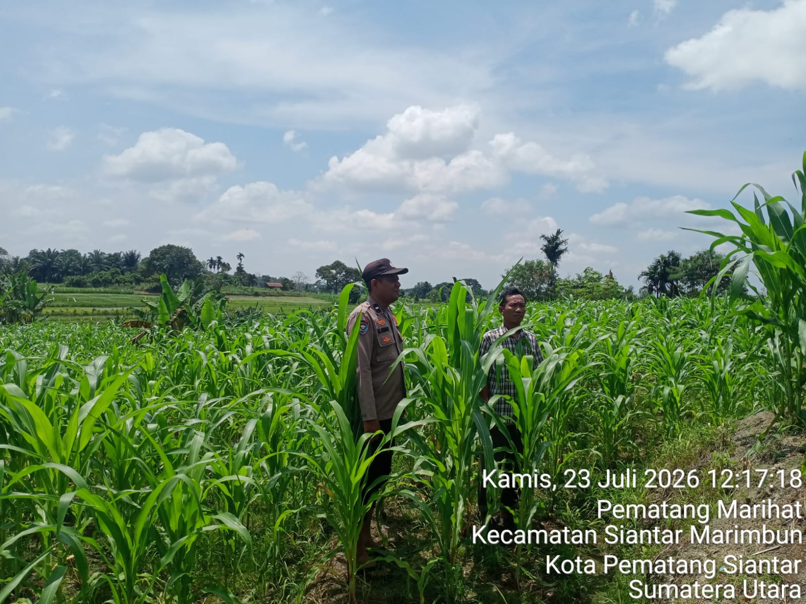 Dukung Ketapang, Bhabinkamtibmas Polsek Siantar Utara Cek Lahan Petani Binaan