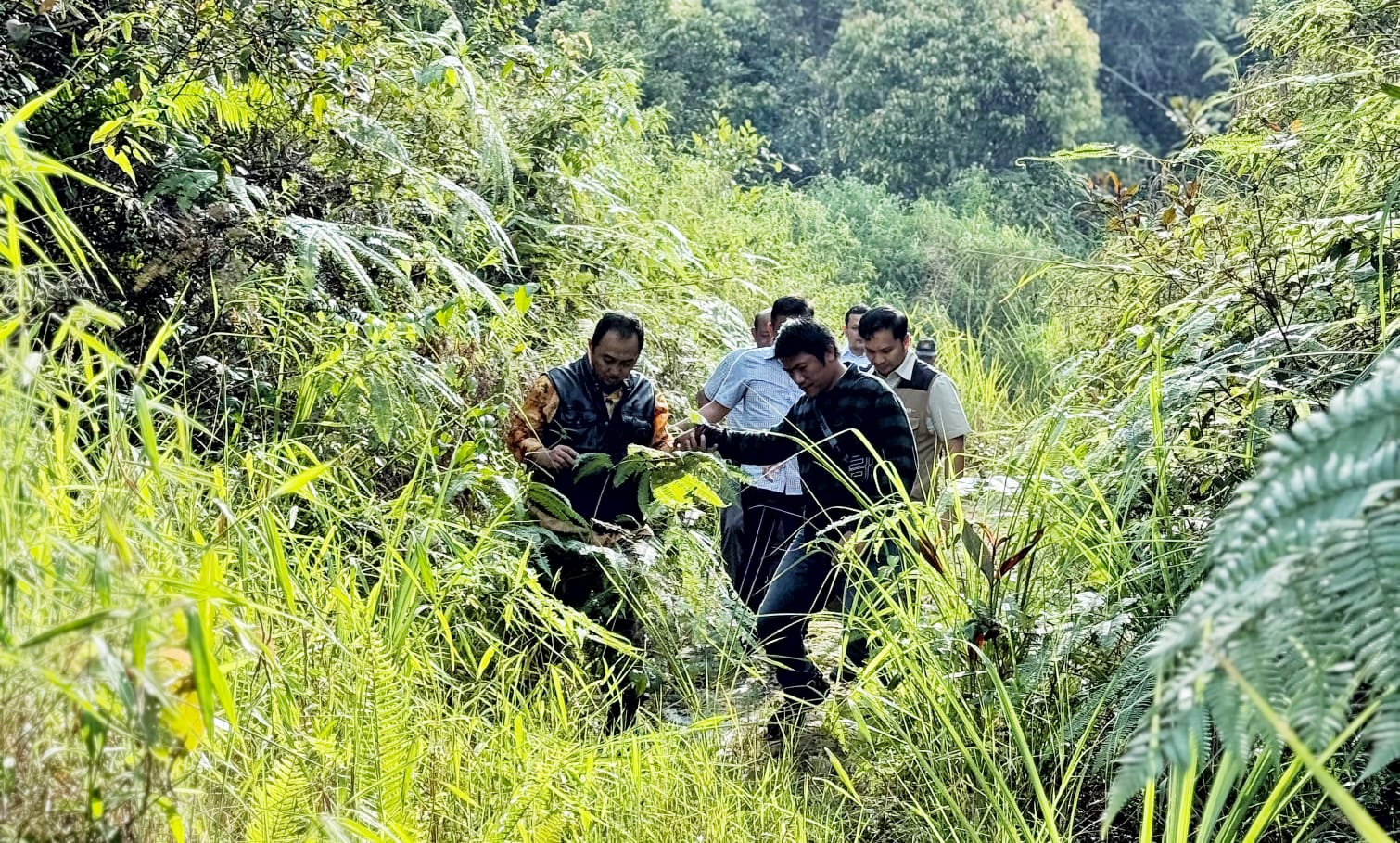 Konsep Otomatis