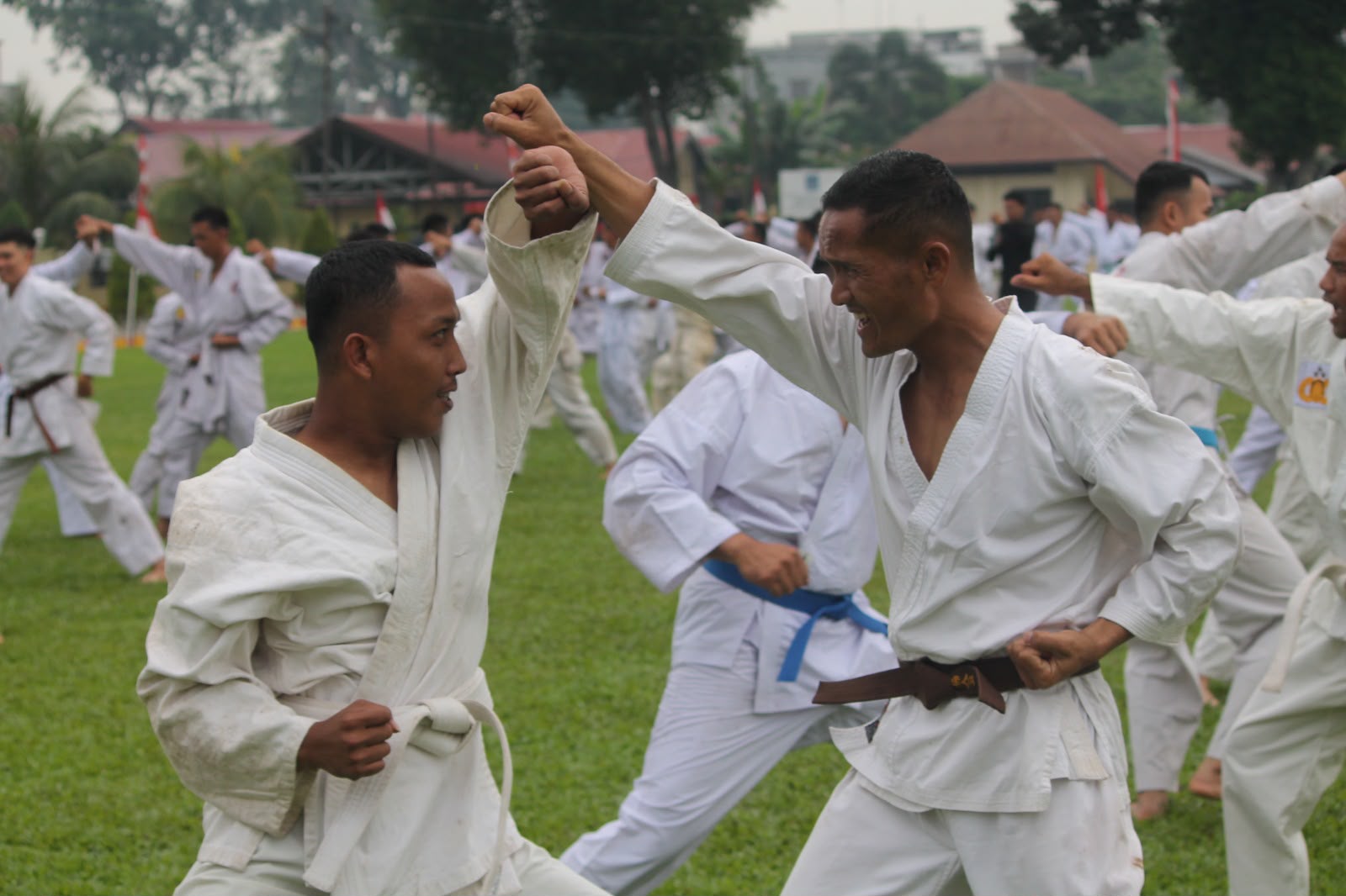 Perkuat Kesiapsiagaan Dan Profesionalisme, Personel Batalyon A Satbrimob Polda Sumut Laksanakan Ujian Beladiri Polri Berkala Semester II T.A. 2026 Perkuat Kesiapsiagaan Dan Profesionalisme, Personel Batalyon A Satbrimob Polda Sumut Laksanakan Ujian Beladiri Polri Berkala Semester II T.A. 2026