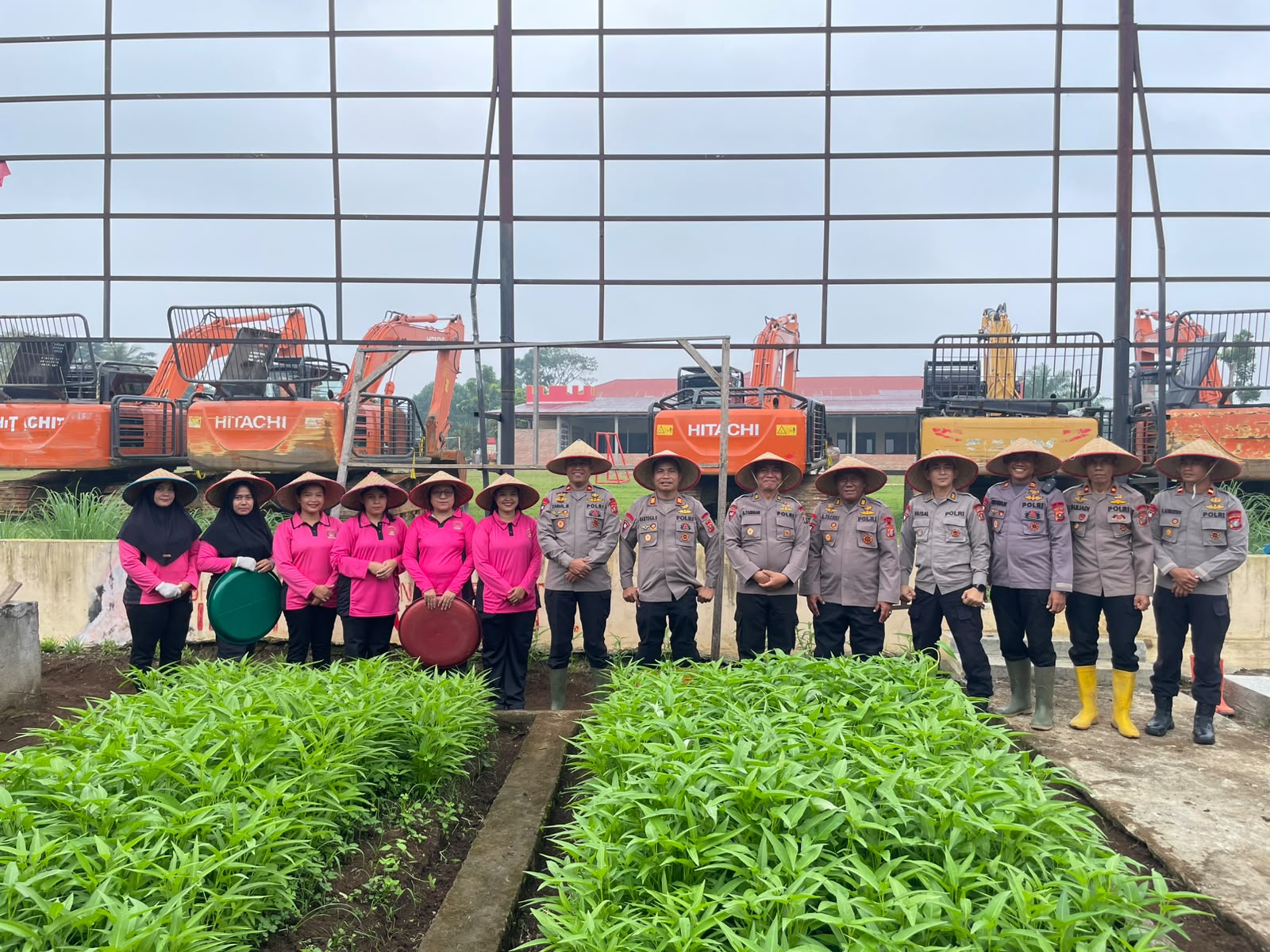 Perkuat Kebersamaan Dan Ketahanan Pangan, Personel Batalyon C Pelopor Sat Brimob Polda Sumut Panen Sayur Dan Makan Bersama Perkuat Kebersamaan Dan Ketahanan Pangan, Personel Batalyon C Pelopor Sat Brimob Polda Sumut Panen Sayur Dan Makan Bersama