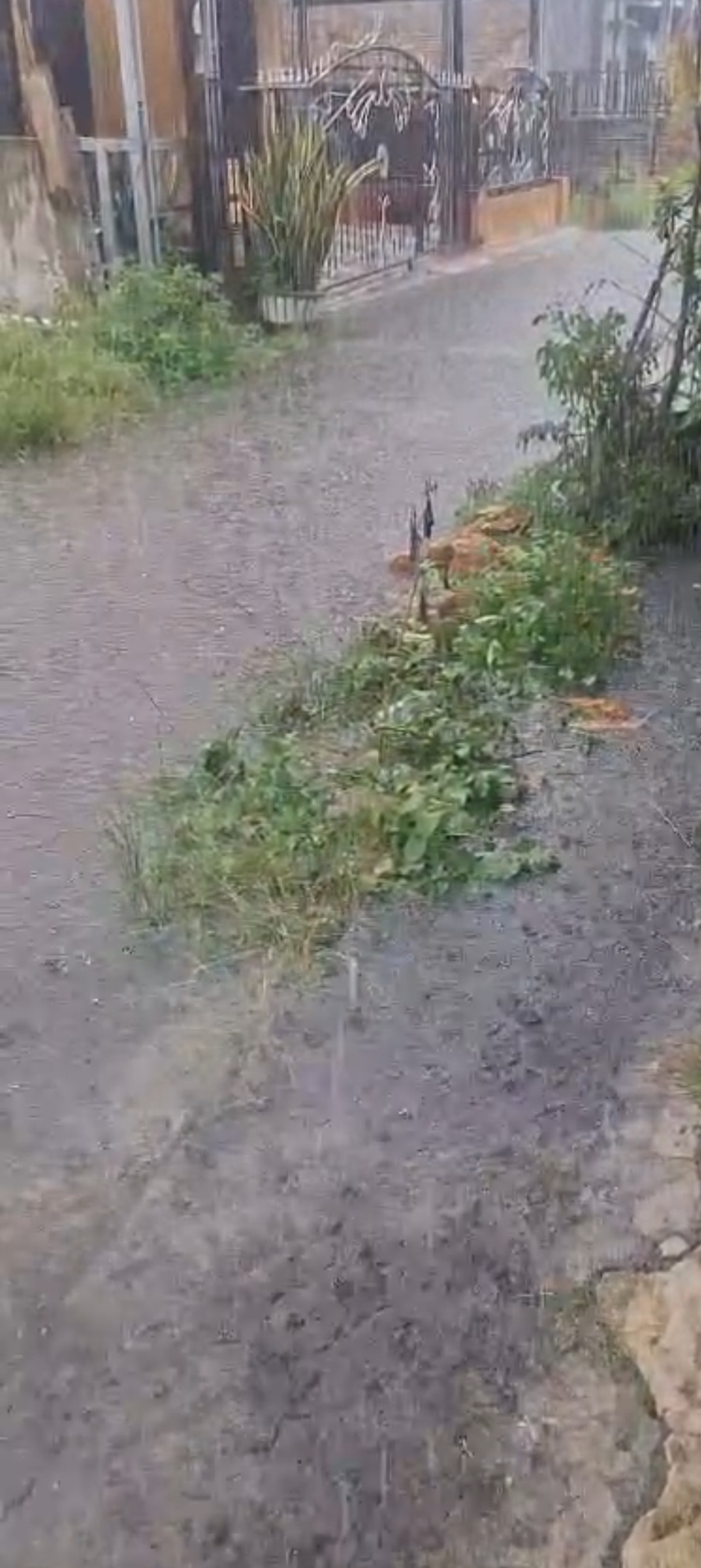 Banjir Berulang di Kelurahan Suka Maju Pematangsiantar, Laporan Warga ke Camat Marihat Tak Kunjung Ditindaklanjuti Banjir Berulang di Kelurahan Suka Maju Pematangsiantar, Laporan Warga ke Camat Marihat Tak Kunjung Ditindaklanjuti