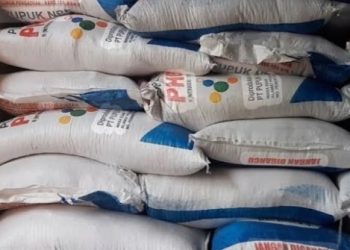 Ilustrasi tumpukan pupuk bersubsidi pemerintah sebelum didistribusikan