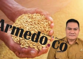PPK Pengadaan Gabah Padi Franky Purba dengan latar belakang tumpukan Gabah Padi