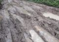Kondisi jalan menuju Dusun Sarlaklak di Kecamatan Dolok Silau mirip kubangan kerbau