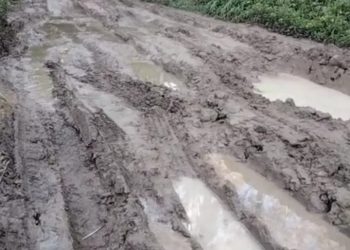 Kondisi jalan menuju Dusun Sarlaklak di Kecamatan Dolok Silau mirip kubangan kerbau