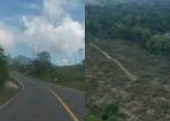 Jalan menuju kawasan hutan Dolok Parmonangan, Kecamatan Dolok Panribuan