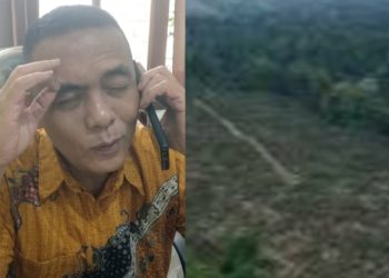 Kasi Perlindungan UPTD KPH Wilayah II Pematang Siantar dan ilustrasi kawasan hutan kondisi penebangan kayu ilegal
