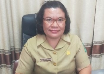 Kepala bidang (Kabid) PSP Dinas Pertanian Simalungun, Mery Damanik