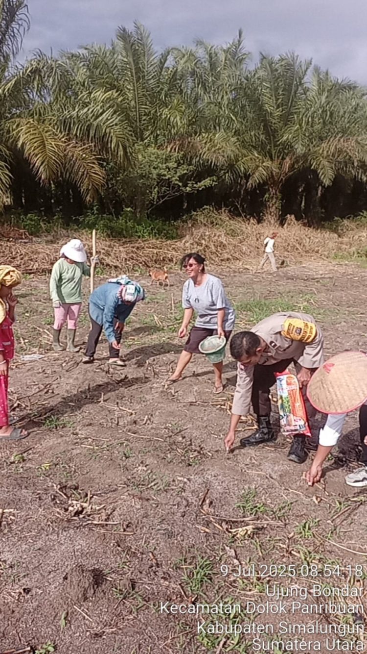 PROGRAM KETAHANAN PANGAN: POLSEK DOPAN TANAM JAGUNG DI LUMBAN GORAT.