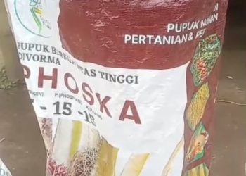 PENGUASA BERKOLABORASI DENGAN PENGUSAHA MENIPU RAKYAT, PROGRAM KETAHANAN PANGAN ,BODONG.