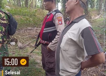 PTPN IV KEBON BAH BIRONG ULU, KUASAI LAHAN TANPA IZIN