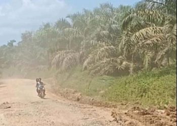 MUSIM KEMARAU, JALAN KEBON BERDEBU, PTPN IV KEBUN MARIHAT, CUEK BEBEK.