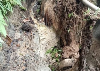 SALURAN IRIGASI BAH PANEASI, LONGSOR SUDAH TIGA TAHUN, PETANI MENJERIT.