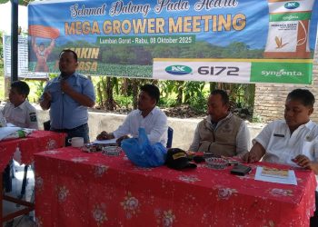PT SYNGENTA PERKENALKAN BENIH UNGGUL TAHAN GILFOSAT DI LUMBAN GORAT