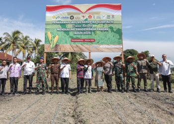 Penanaman Jagung Serentak Dukung Swasembada Pangan di Pematangsiantar