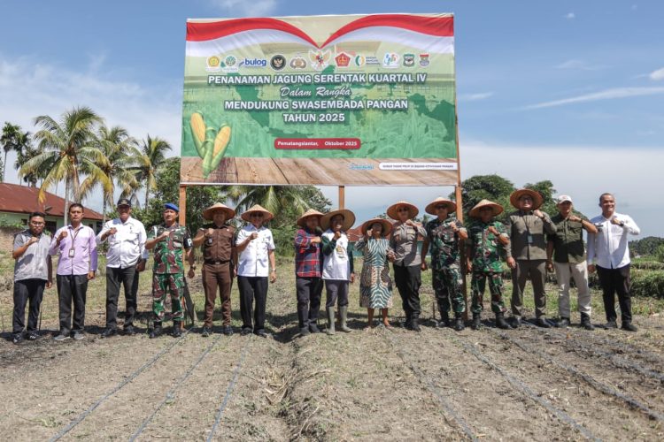 Penanaman Jagung Serentak Dukung Swasembada Pangan di Pematangsiantar