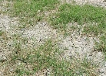 Lahan Pertanian Kering Kerontang, Pola Tanam Gagal