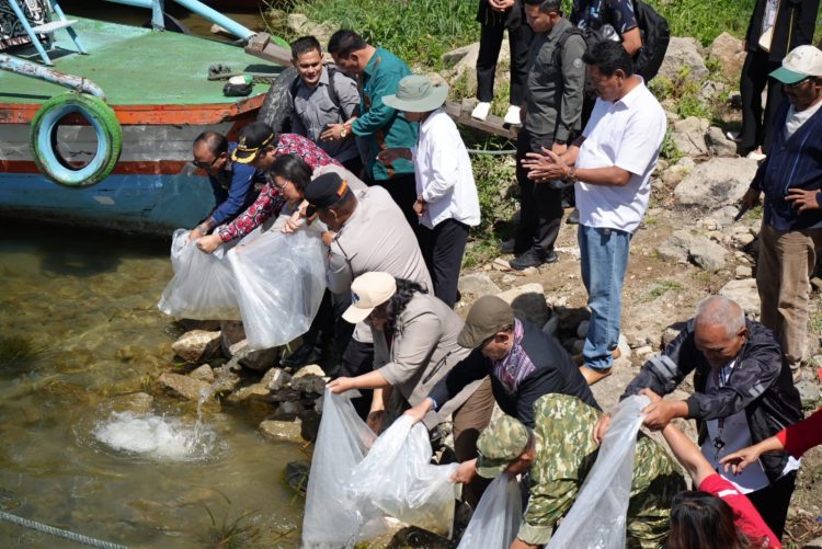Forkopimda Kabupaten Samosir Tabur Benih Ikan Ke Danau Toba