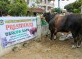 Masjid Amaliyah Kelurahan Gurilla Peroleh Sapi Kurban dari Presiden
