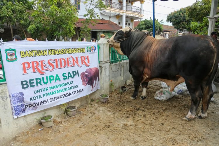 Masjid Amaliyah Kelurahan Gurilla Peroleh Sapi Kurban dari Presiden