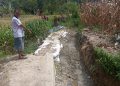 IRIGASI JEBOL 60 HA SAWAH TERANCAM GAGAL TANAM