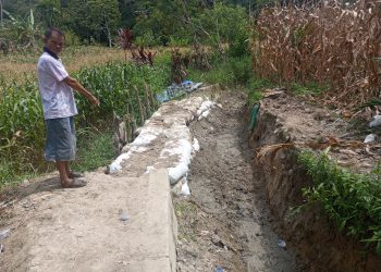 IRIGASI JEBOL 60 HA SAWAH TERANCAM GAGAL TANAM
