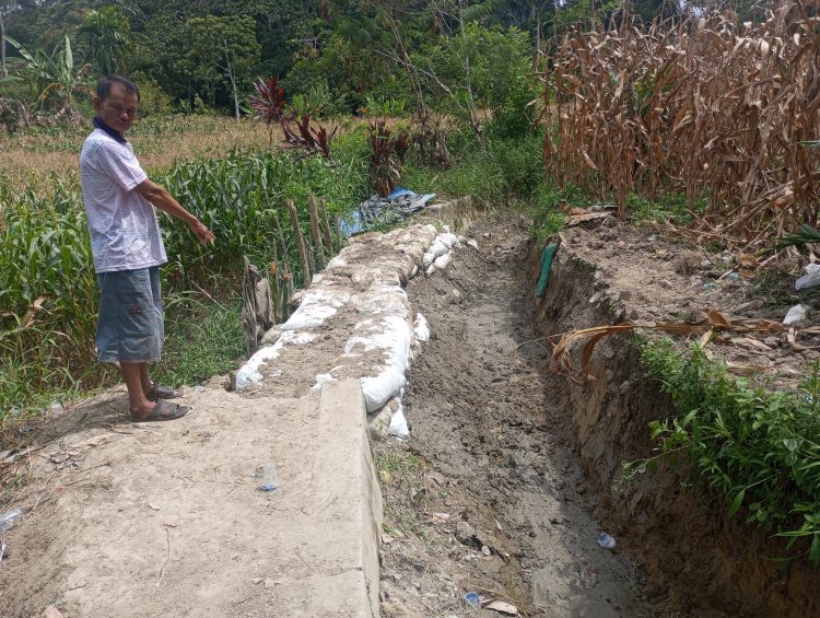 IRIGASI JEBOL 60 HA SAWAH TERANCAM GAGAL TANAM