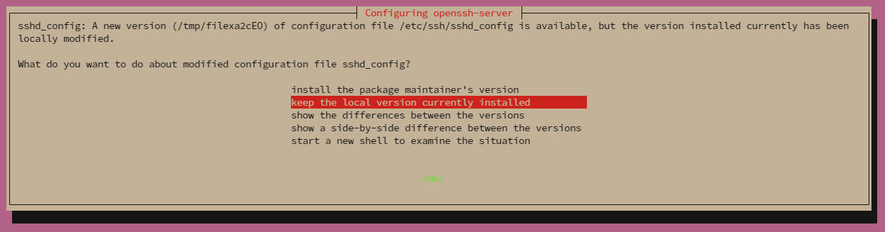 Pilih opsi kedua, keep the local version currently installed