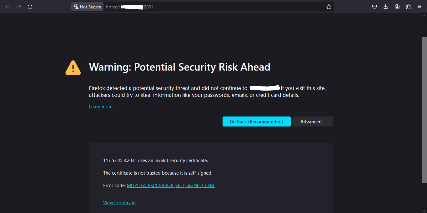 Tampilan Warning: Potential Security Risk Ahead