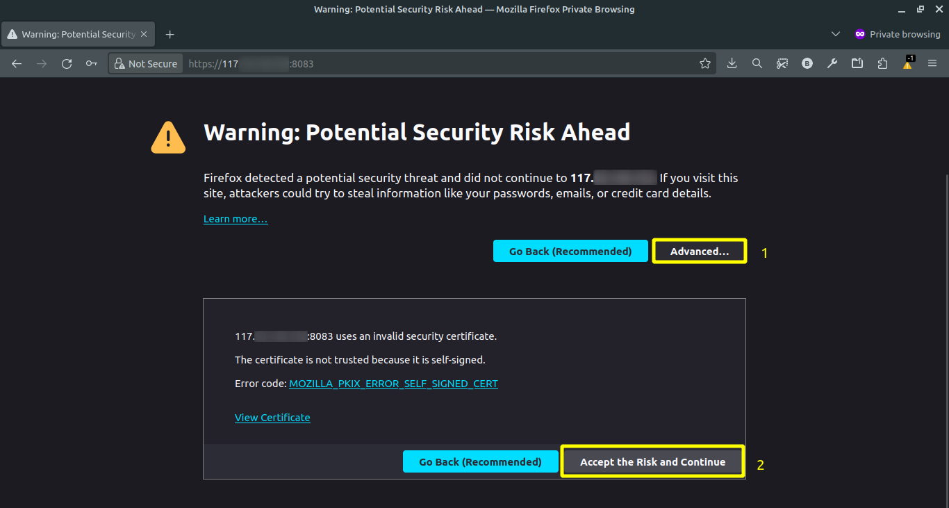 Accept the risk and continue