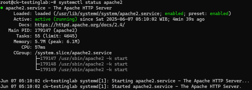 Status Apache Web Service Berjalan.png