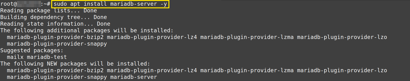 Menginstal MariaDB Database Server pada VPS Kilat VM 2.0