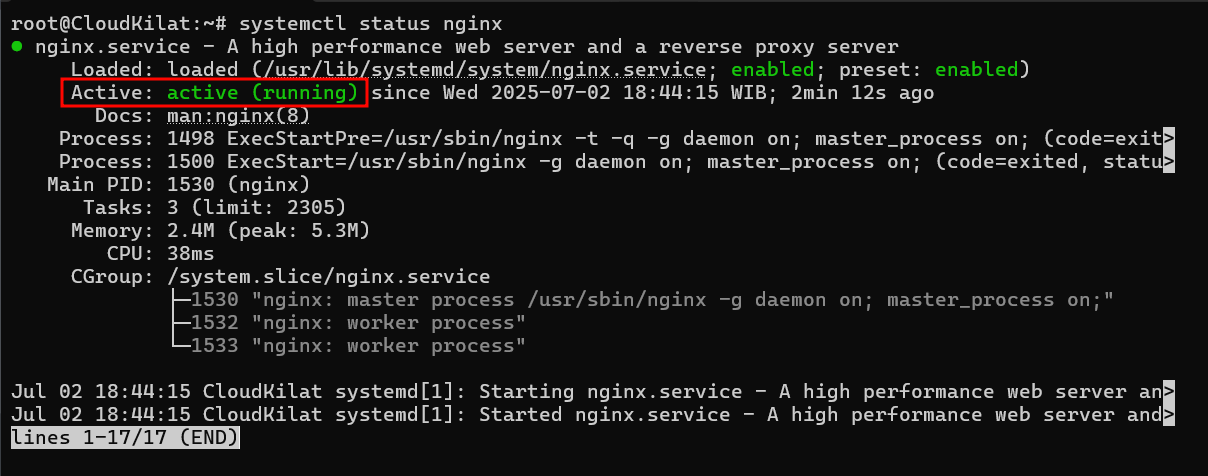 Status_Nginx.png