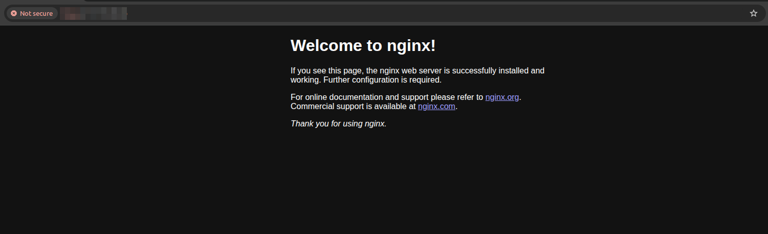 Halaman Default NGINX