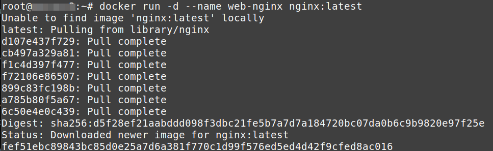 Membuat dan Menjalankan Container