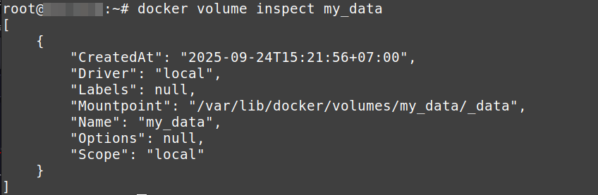 Melihat Detail Informasi Volume