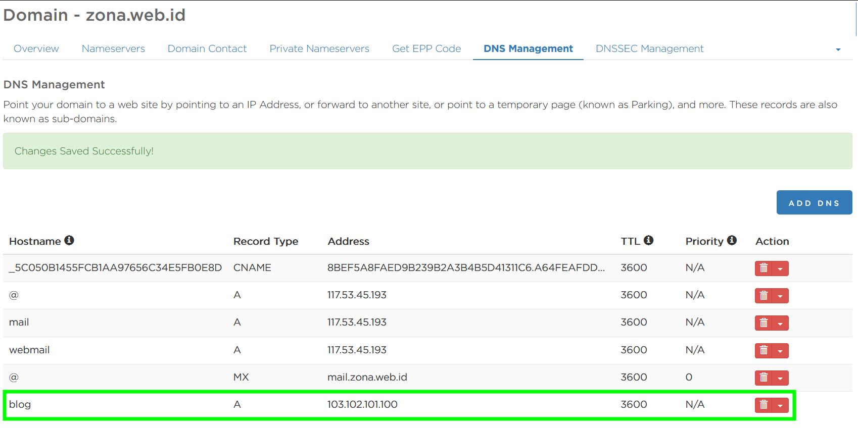 Contoh List DNS Record
