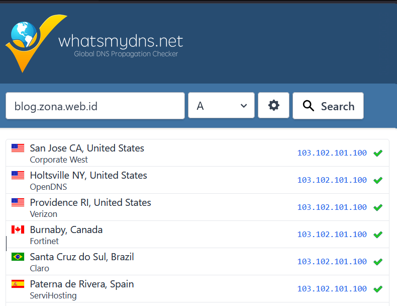 Pengecekan DNS Record