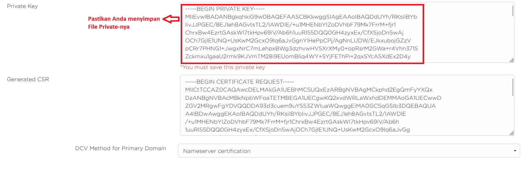 Hasil Generate CSR & Private Key